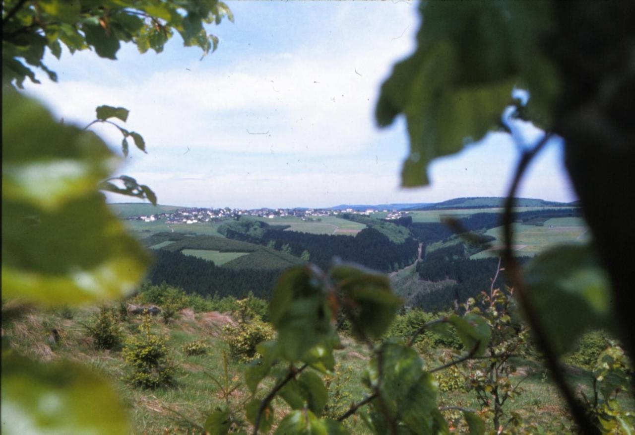 Aussichtsbauernhofpension Hof Gretchens Винтерберг Экстерьер фото